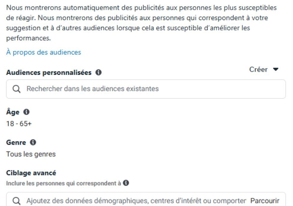 critères d'audience facebook ads