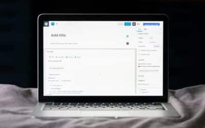 Pourquoi utiliser un thème WordPress premium ?